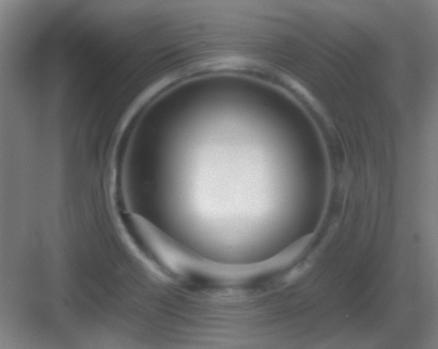 X0000083061418200702091452