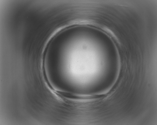 X0000083061424200702091452