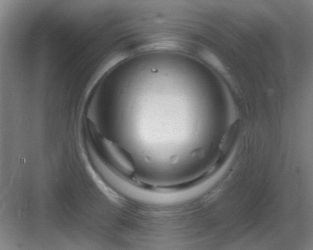 X0000083061426200702091452