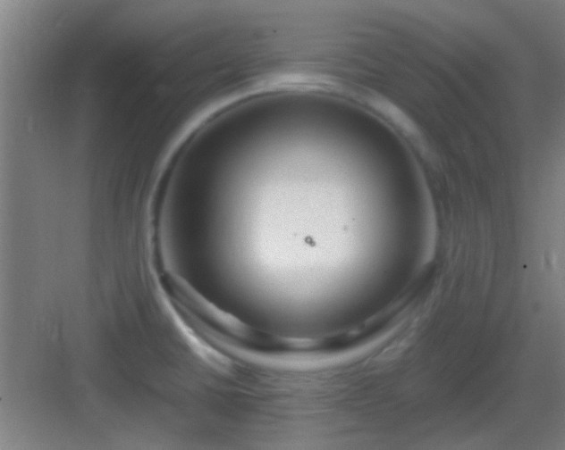 X0000083061430200702091452