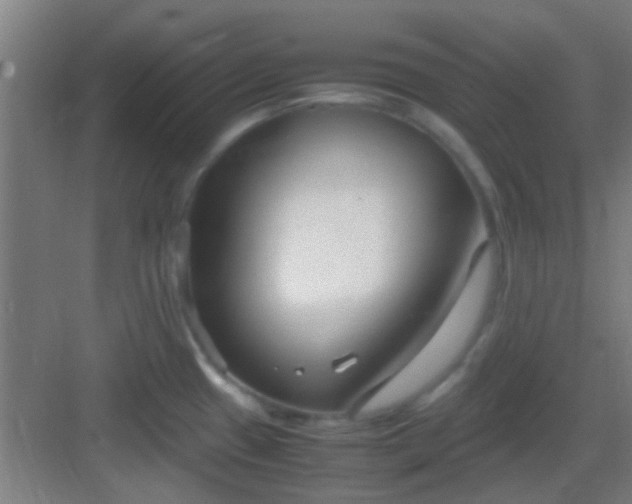 X0000083061433200702091452