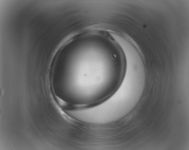 X0000083061434200702091452