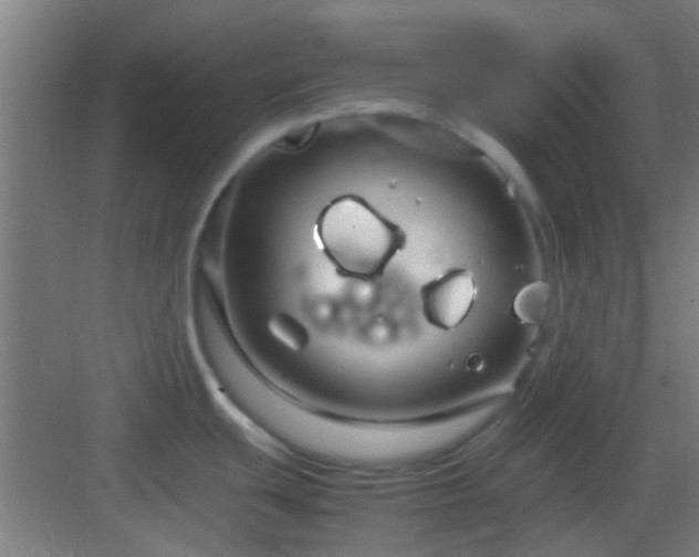 X0000083061439200702091452
