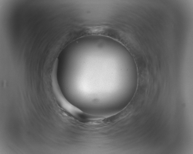 X0000083061441200702091452