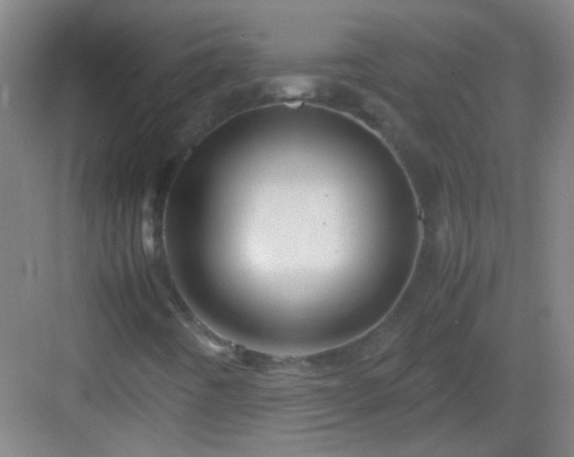 X0000083061442200702091452