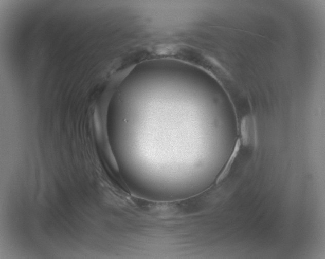 X0000083061443200702091452