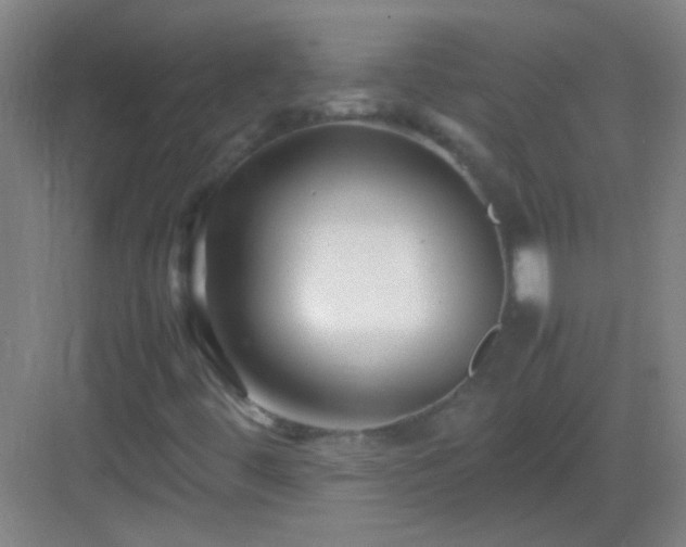 X0000083061444200702091452
