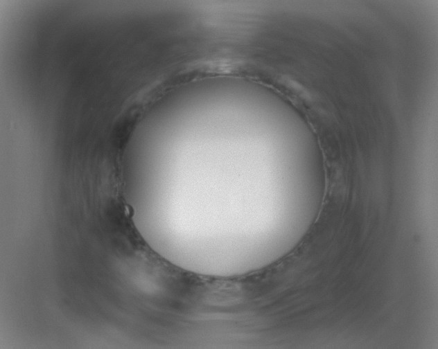 X0000083061446200702091452