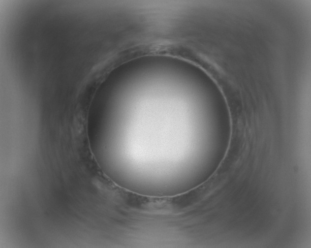 X0000083061447200702091452
