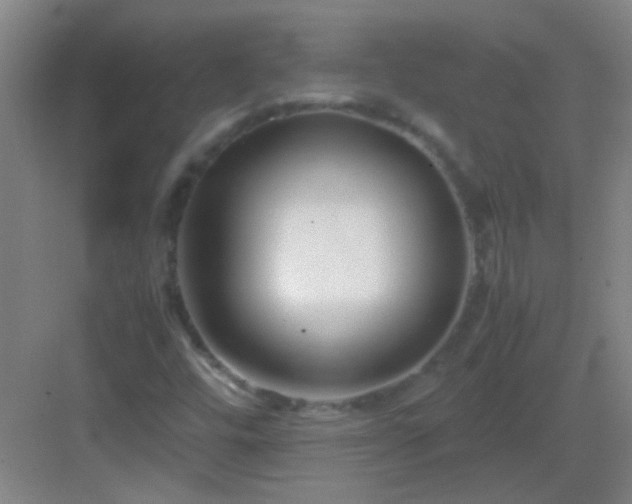 X0000083061448200702091452