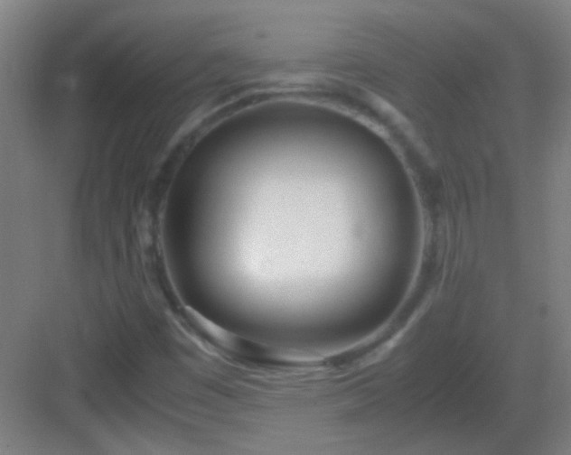 X0000083061449200702091452