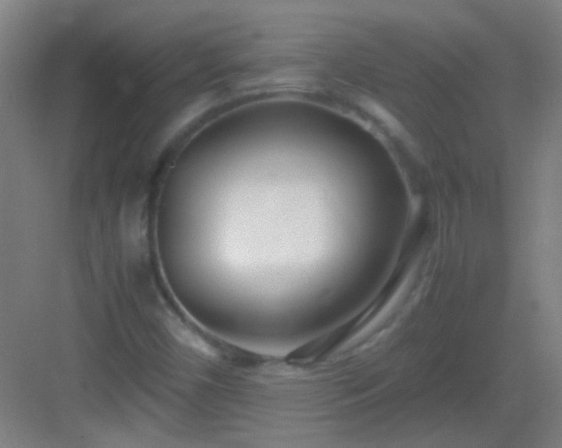 X0000083061450200702091452
