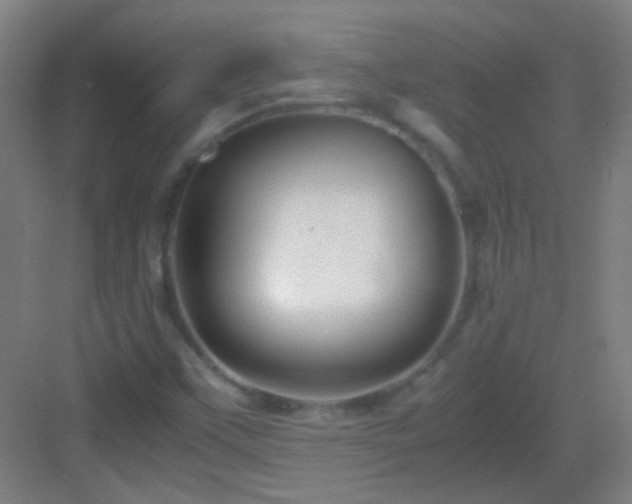 X0000083061451200702091452