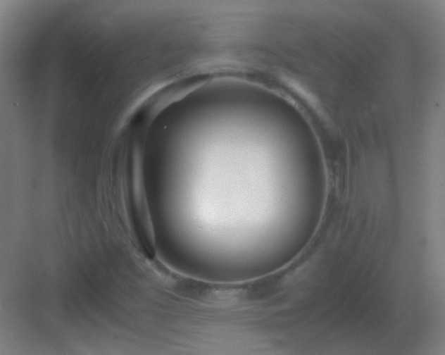X0000083061453200702091451