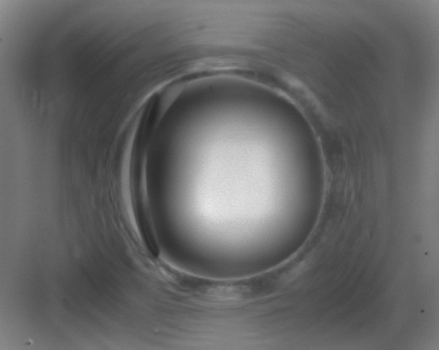 X0000083061457200702091451