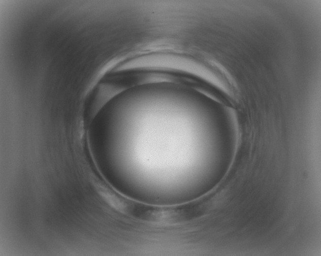 X0000083061461200702091451