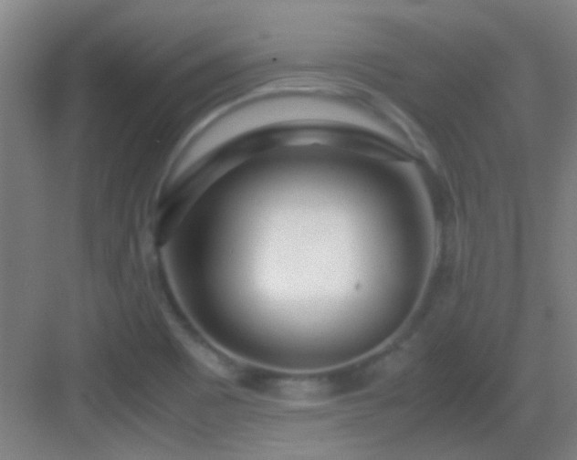 X0000083061465200702091451