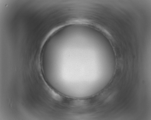 X0000083061470200702091451