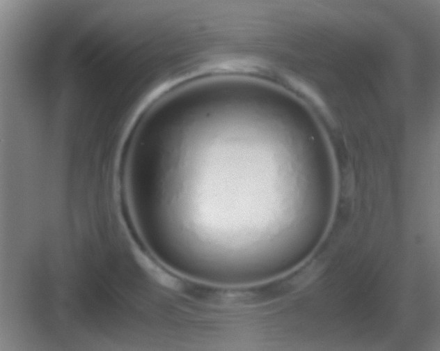 X0000083061471200702091451