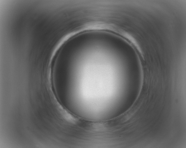 X0000083061472200702091451