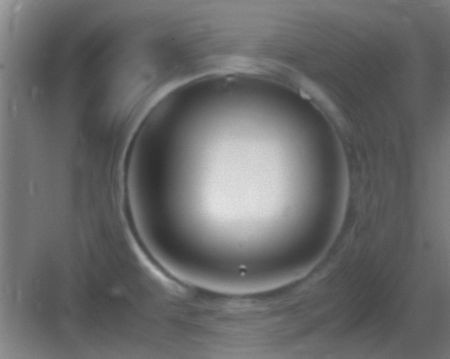 X0000083061479200702091451