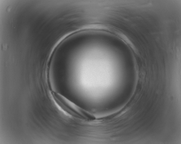 X0000083061484200702091451