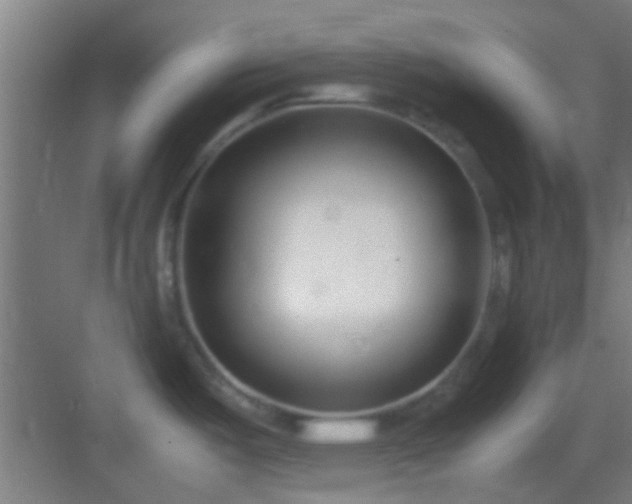 X0000083061487200702091451