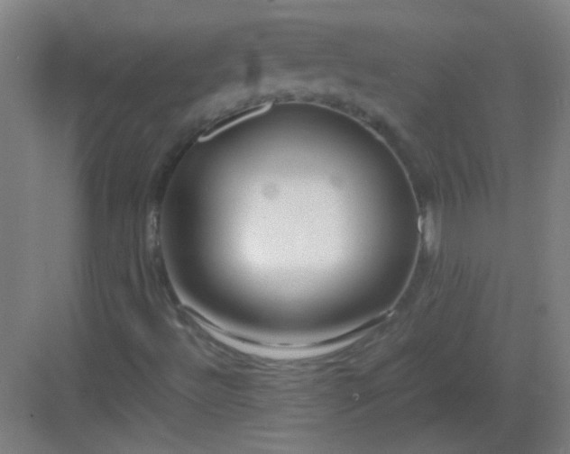 X0000083061492200702091450