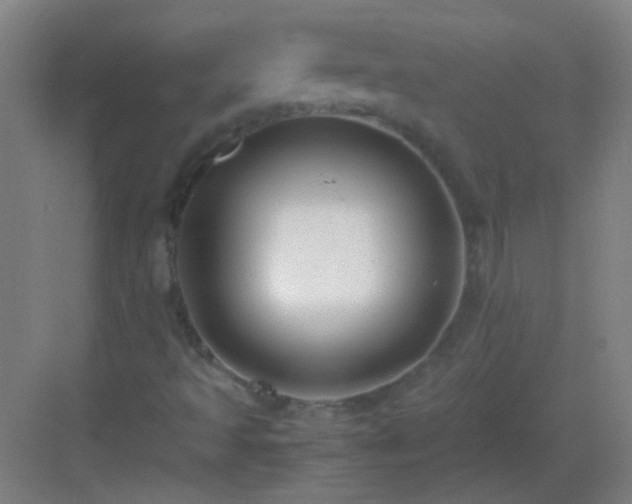 X0000083061493200702091450