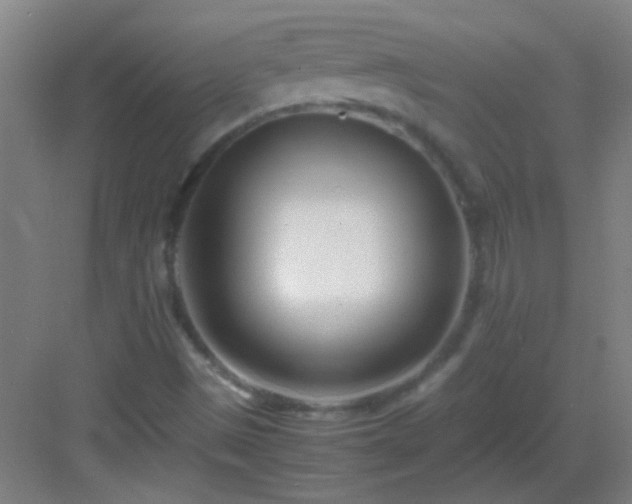 X0000083061497200702091450