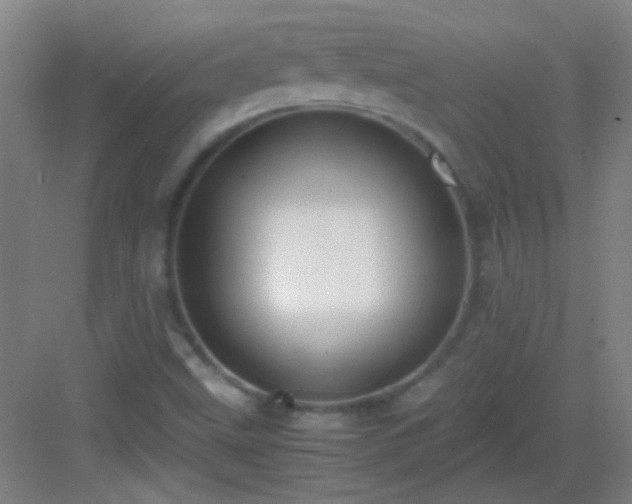 X0000083061499200702091450