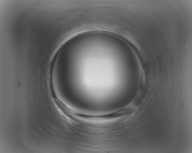X0000083061508200702091450