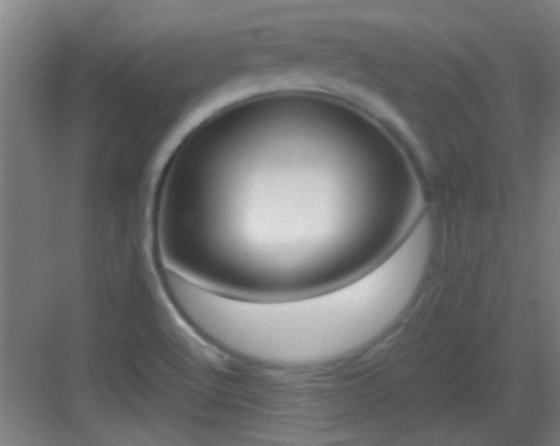 X0000083061512200702091450