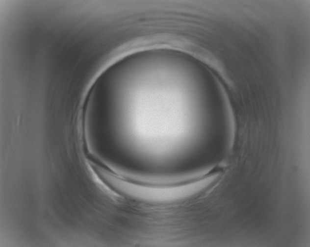 X0000083061516200702091451