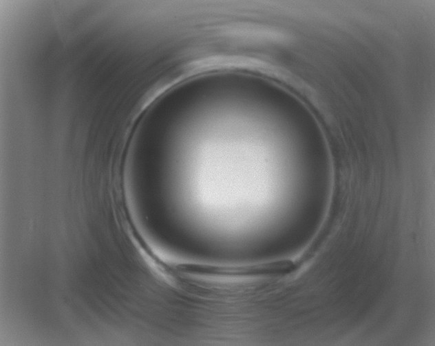 X0000083061521200702091451