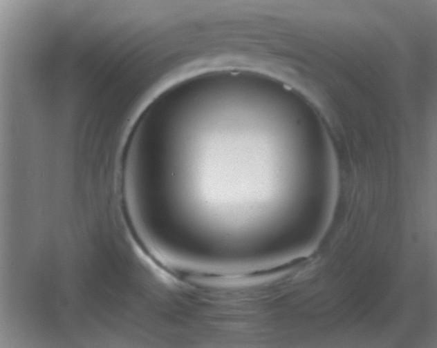X0000083061527200702091451