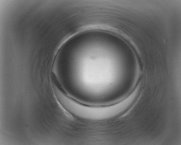 X0000083061529200702091451