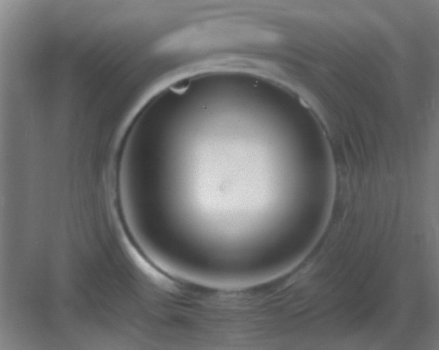X0000083061531200702091451