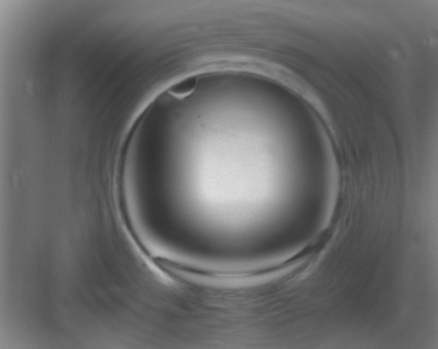 X0000083061533200702091451