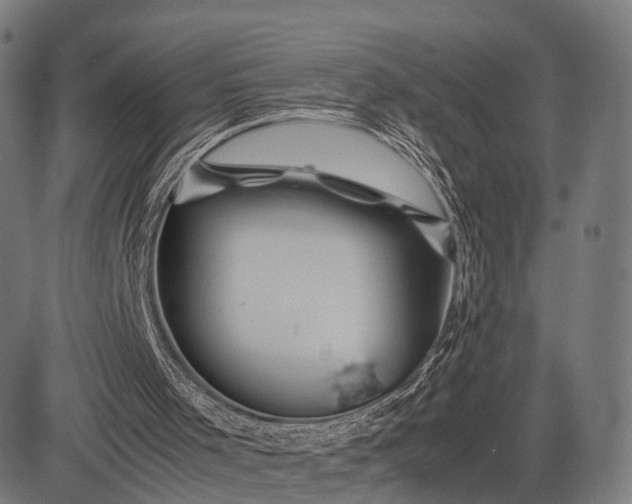 X0000083060001200702161808