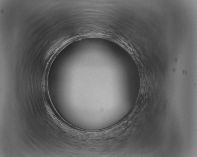 X0000083060002200702161808