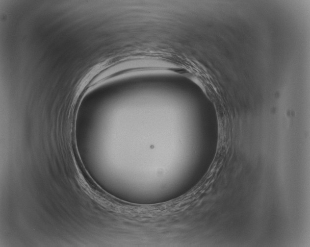 X0000083060003200702161808