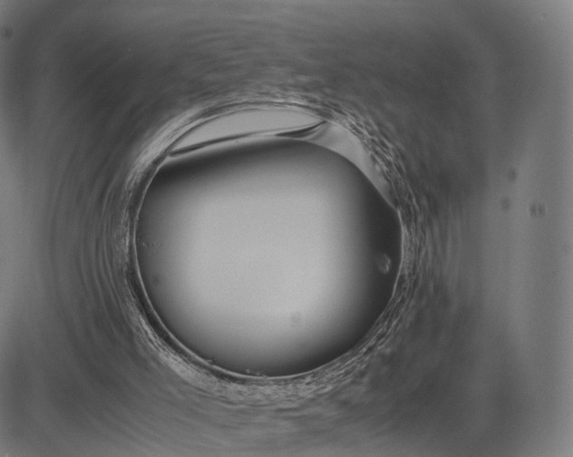 X0000083060005200702161808