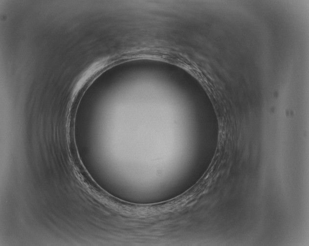 X0000083060006200702161808