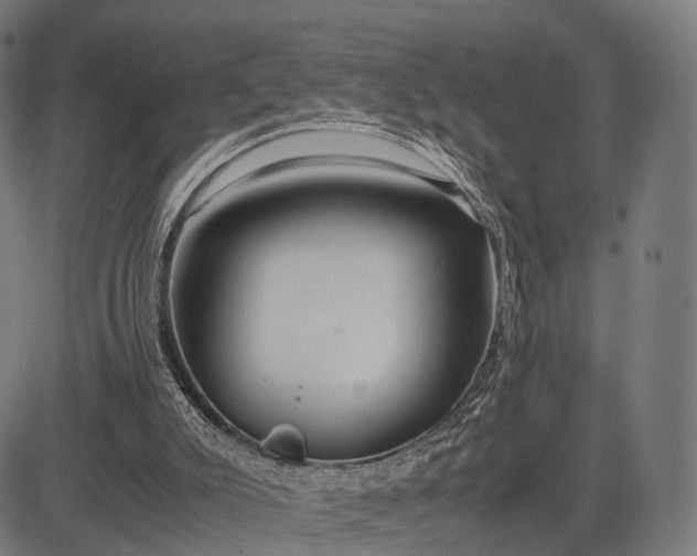 X0000083060007200702161808