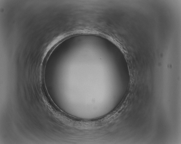 X0000083060008200702161808