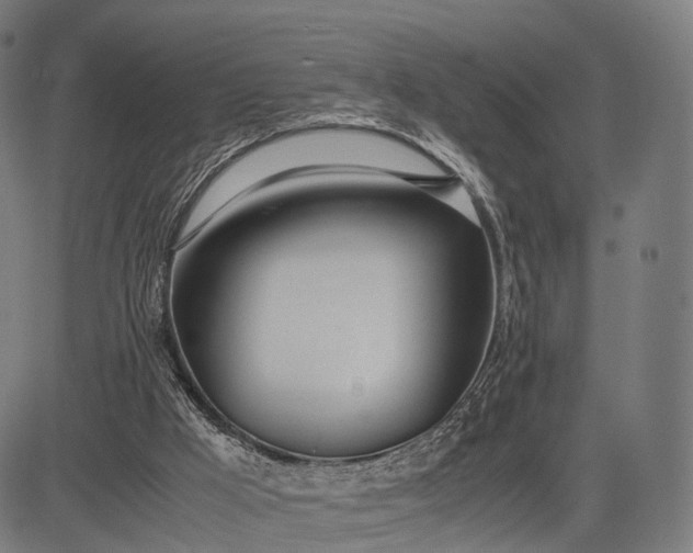 X0000083060009200702161808