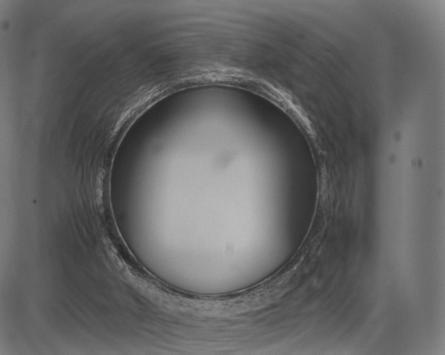 X0000083060010200702161808