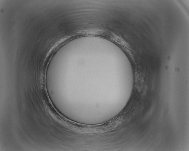 X0000083060012200702161808