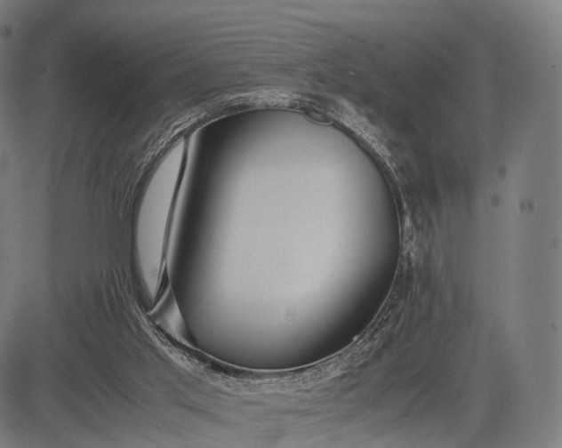 X0000083060013200702161808